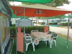 DSC03344 550